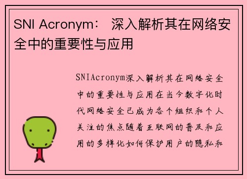 SNI Acronym： 深入解析其在网络安全中的重要性与应用